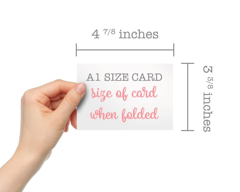 Black Tabby Studio Paper Plane Thank You Cards - 24 Greeting Cards with Envelopes - Image 5